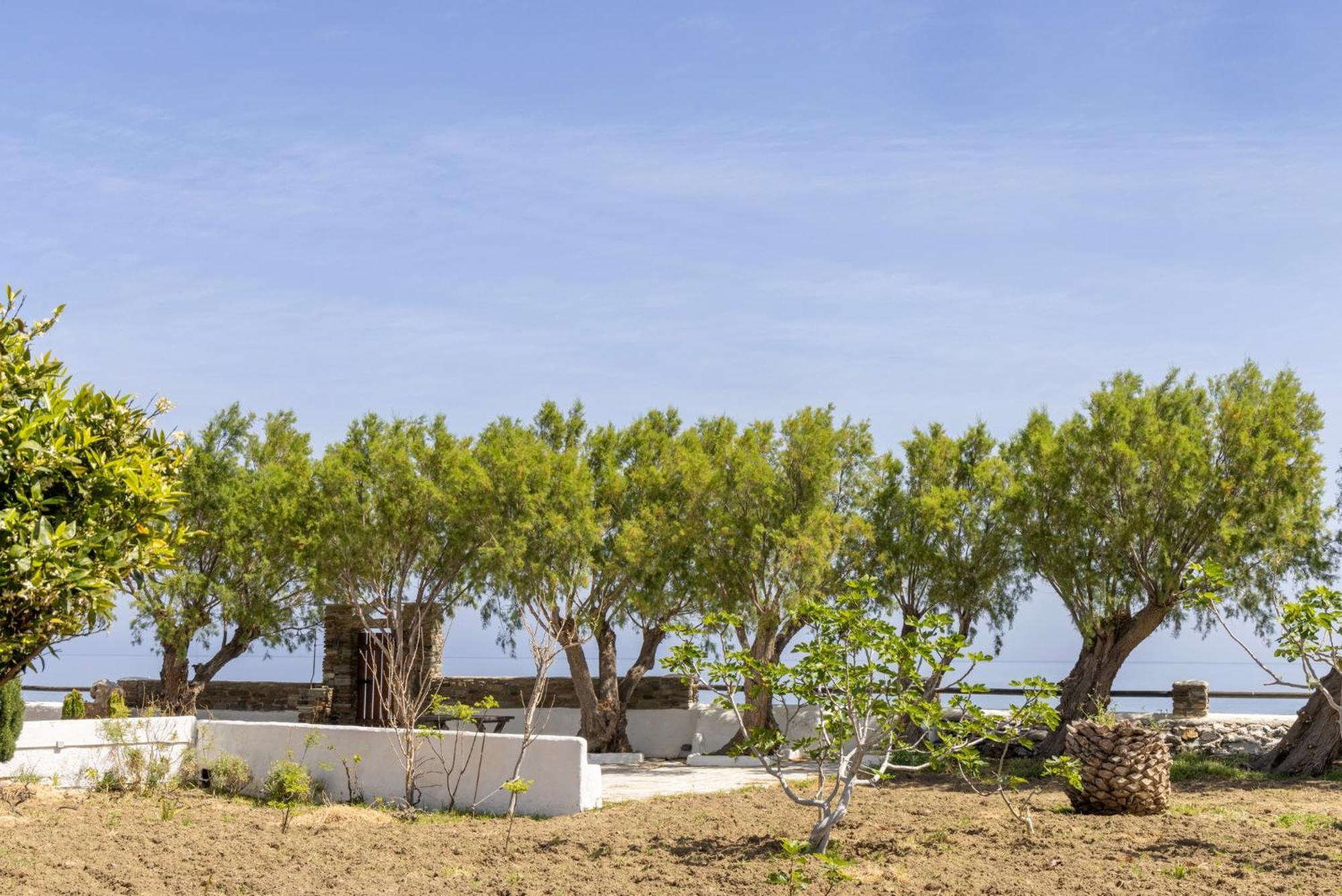 Unforgettable Tinos Beach Houses Complex Agios Ioannis  Værelse billede